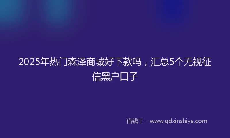 2025年热门森泽商城好下款吗，汇总5个无视征信黑户口子