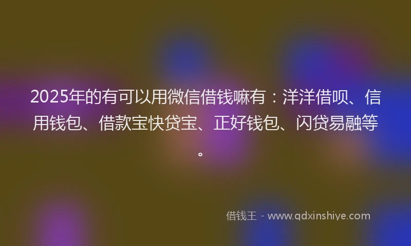2025年的有可以用微信借钱嘛有：洋洋借呗、信用钱包、借款宝快贷宝、正好钱包、闪贷易融等。