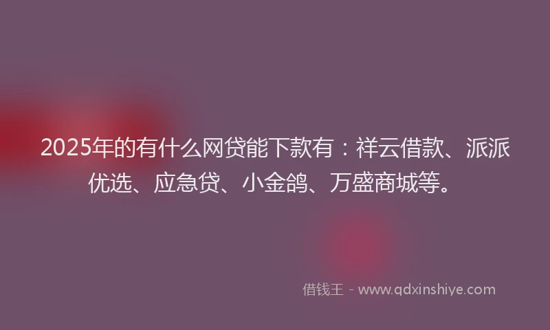 2025年的有什么网贷能下款有：祥云借款、派派优选、应急贷、小金鸽、万盛商城等。