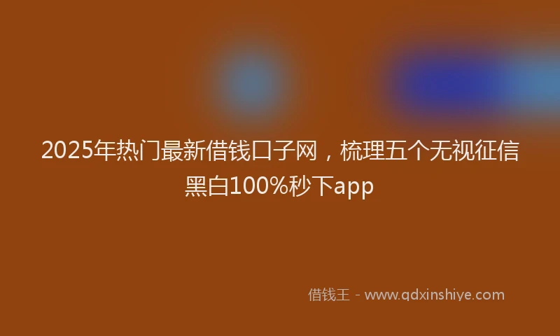 2025年热门最新借钱口子网，梳理五个无视征信黑白100%秒下app