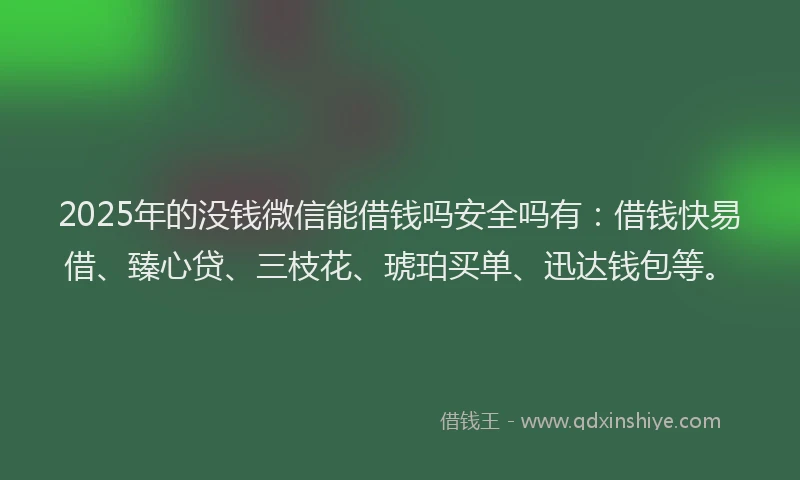2025年的没钱微信能借钱吗安全吗有：借钱快易借、臻心贷、三枝花、琥珀买单、迅达钱包等。