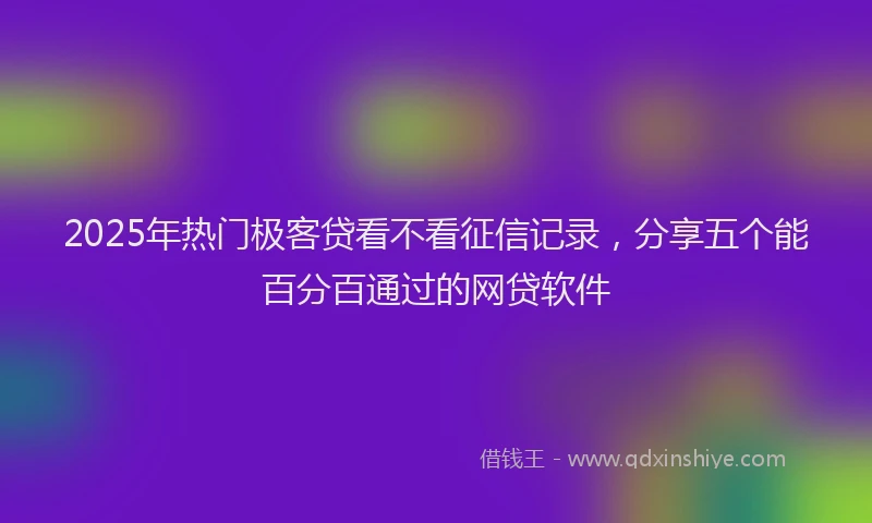 2025年热门极客贷看不看征信记录，分享五个能百分百通过的网贷软件