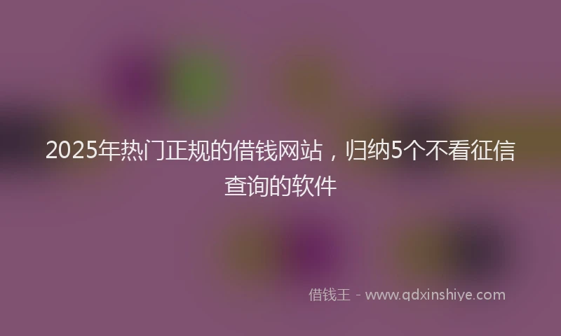 2025年热门正规的借钱网站，归纳5个不看征信查询的软件