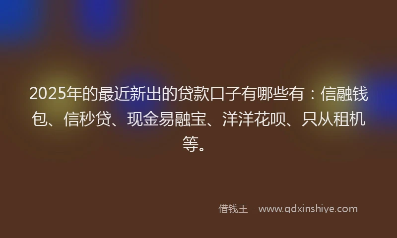 2025年的最近新出的贷款口子有哪些有：信融钱包、信秒贷、现金易融宝、洋洋花呗、只从租机等。