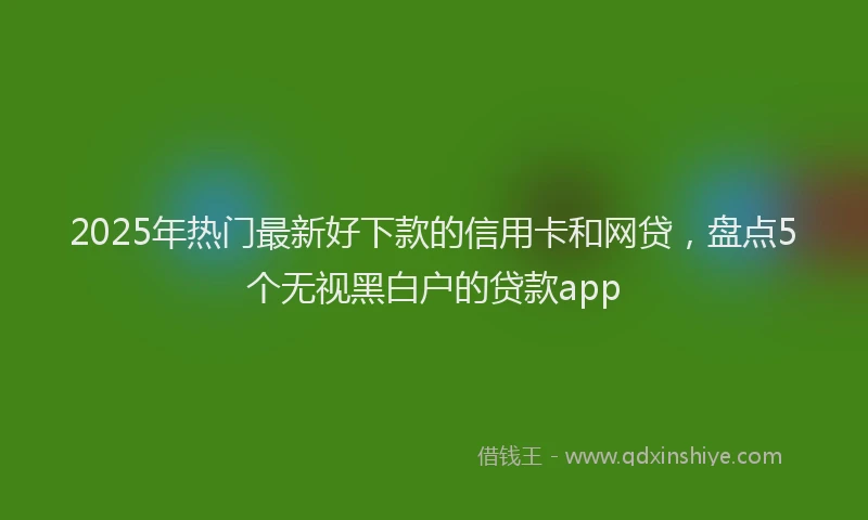 2025年热门最新好下款的信用卡和网贷，盘点5个无视黑白户的贷款app