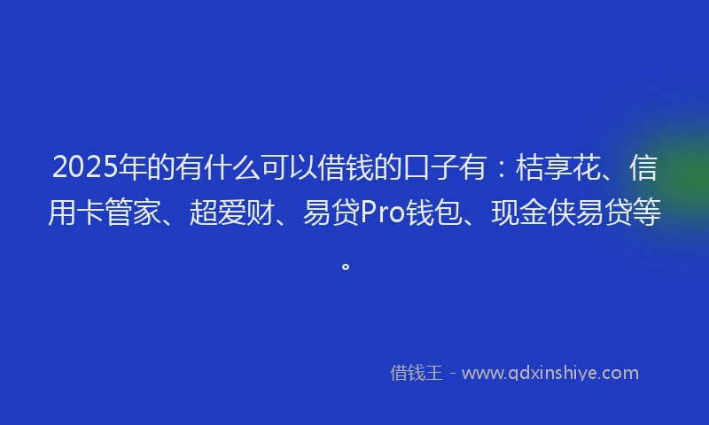 2025年的有什么可以借钱的口子有：桔享花、信用卡管家、超爱财、易贷Pro钱包、现金侠易贷等。