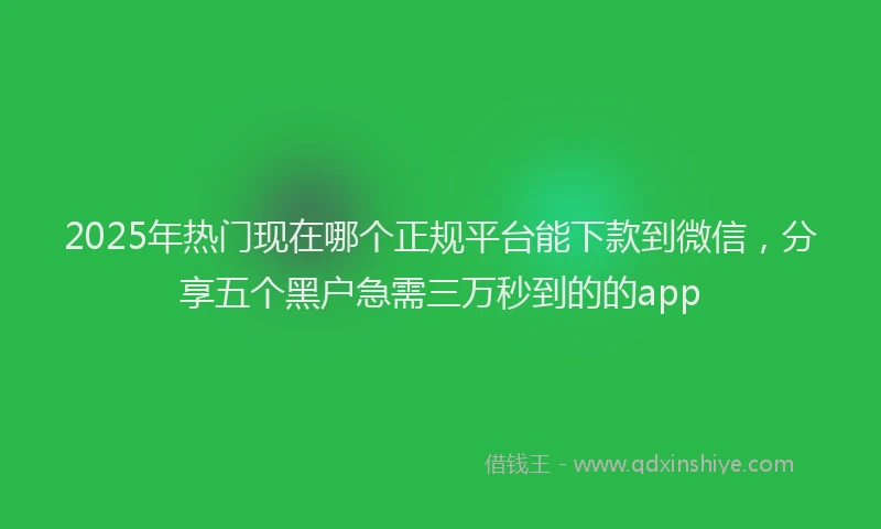 2025年热门现在哪个正规平台能下款到微信，分享五个黑户急需三万秒到的的app