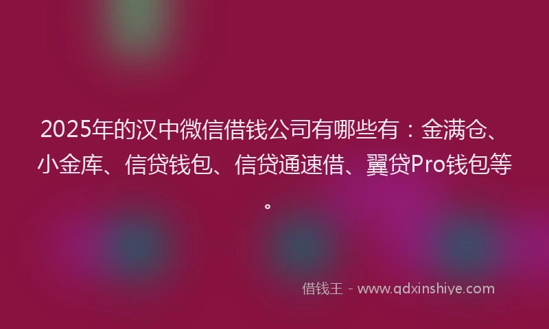 2025年的汉中微信借钱公司有哪些有：金满仓、小金库、信贷钱包、信贷通速借、翼贷Pro钱包等。