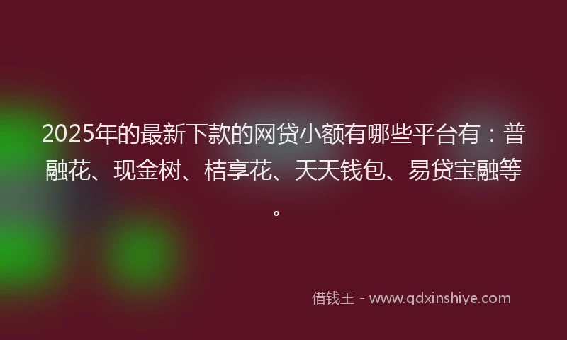 2025年的最新下款的网贷小额有哪些平台有：普融花、现金树、桔享花、天天钱包、易贷宝融等。
