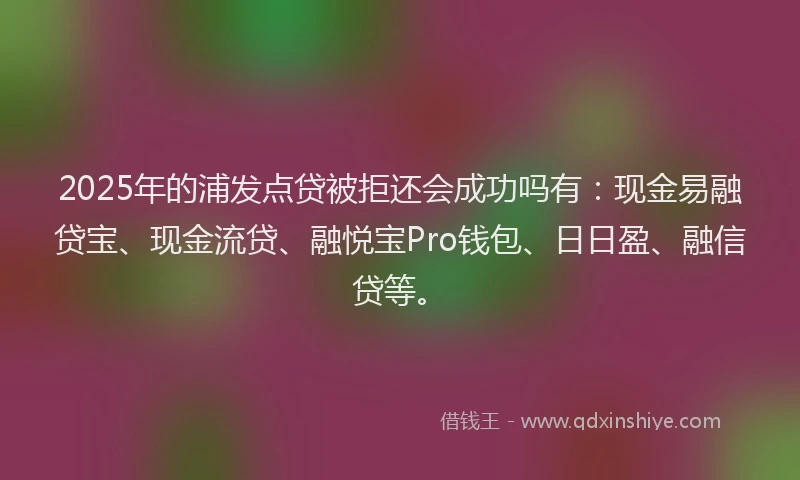 2025年的浦发点贷被拒还会成功吗有：现金易融贷宝、现金流贷、融悦宝Pro钱包、日日盈、融信贷等。