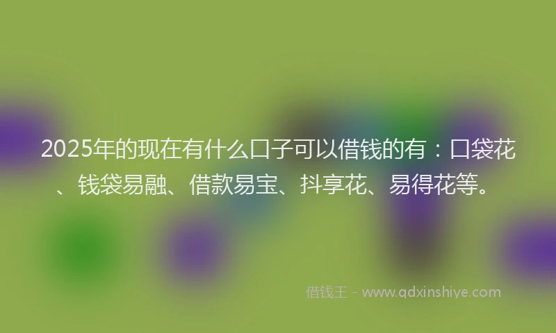 2025年的现在有什么口子可以借钱的有：口袋花、钱袋易融、借款易宝、抖享花、易得花等。