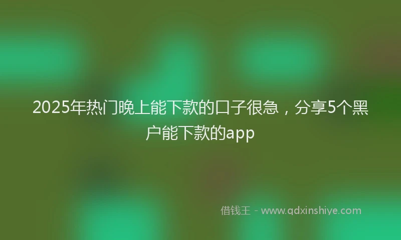 2025年热门晚上能下款的口子很急，分享5个黑户能下款的app