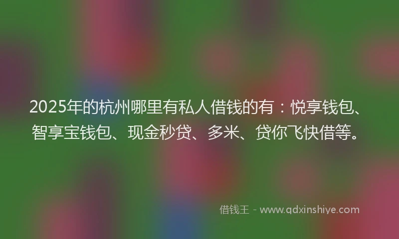 2025年的杭州哪里有私人借钱的有：悦享钱包、智享宝钱包、现金秒贷、多米、贷你飞快借等。