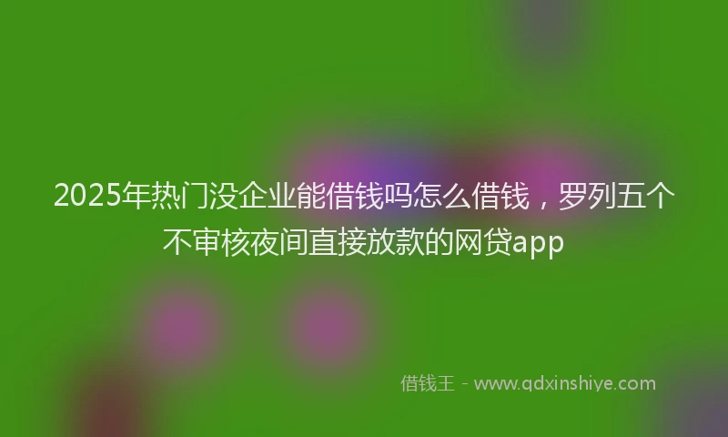 2025年热门没企业能借钱吗怎么借钱，罗列五个不审核夜间直接放款的网贷app
