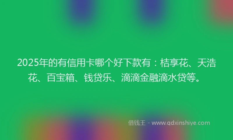 2025年的有信用卡哪个好下款有：桔享花、天浩花、百宝箱、钱贷乐、滴滴金融滴水贷等。