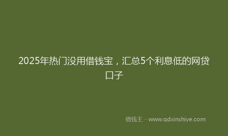 2025年热门没用借钱宝，汇总5个利息低的网贷口子