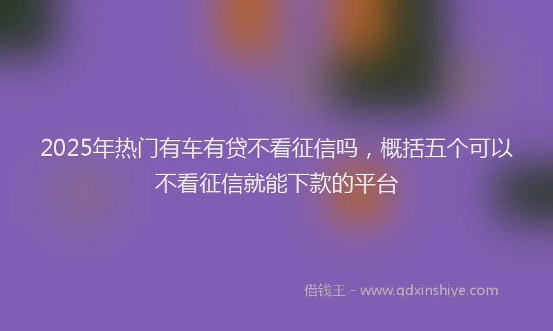 2025年热门有车有贷不看征信吗，概括五个可以不看征信就能下款的平台