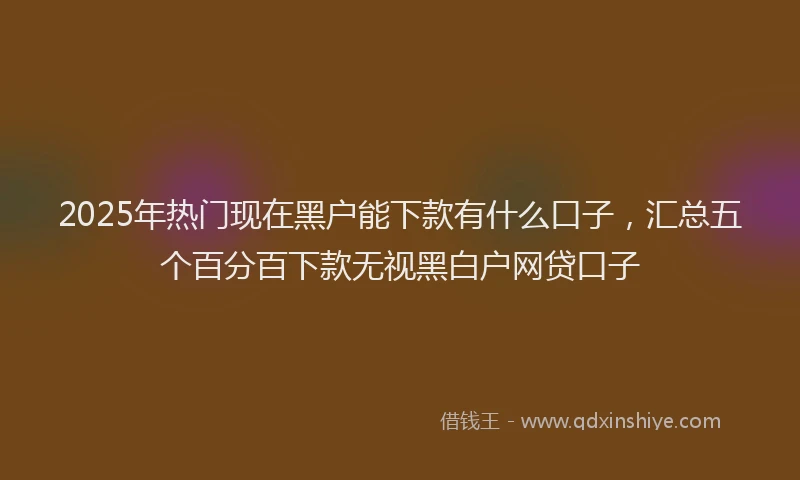 2025年热门现在黑户能下款有什么口子，汇总五个百分百下款无视黑白户网贷口子