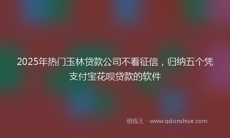 2025年热门玉林贷款公司不看征信，归纳五个凭支付宝花呗贷款的软件