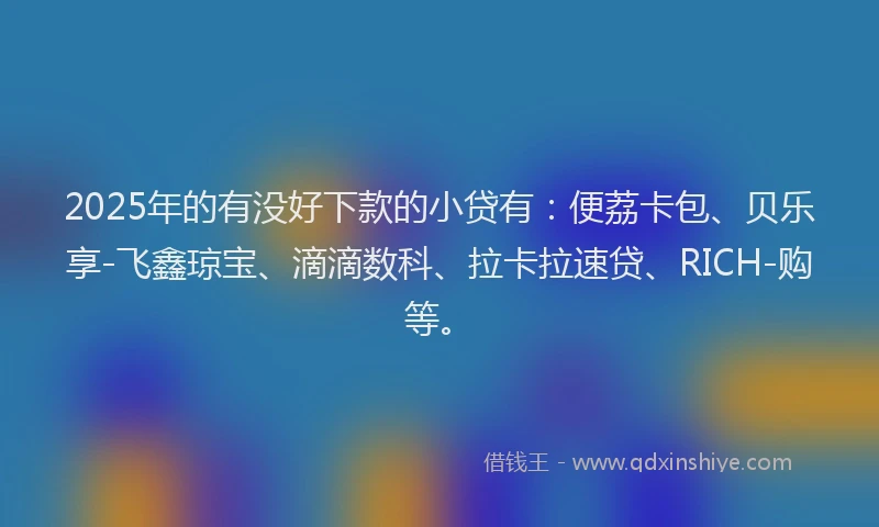 2025年的有没好下款的小贷有：便荔卡包、贝乐享-飞鑫琼宝、滴滴数科、拉卡拉速贷、RICH-购等。