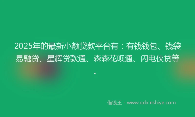 2025年的最新小额贷款平台有：有钱钱包、钱袋易融贷、星辉贷款通、森森花呗通、闪电侠贷等。