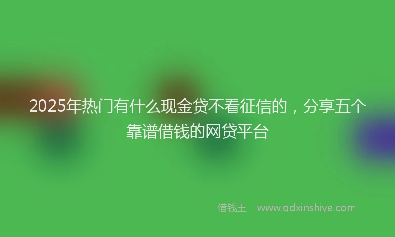 2025年热门有什么现金贷不看征信的，分享五个靠谱借钱的网贷平台