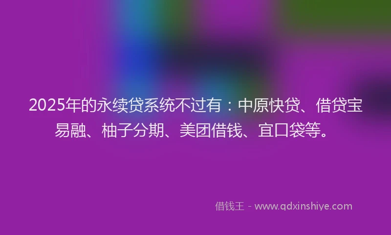 2025年的永续贷系统不过有：中原快贷、借贷宝易融、柚子分期、美团借钱、宜口袋等。