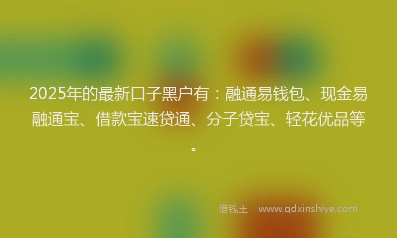 2025年的最新口子黑户有：融通易钱包、现金易融通宝、借款宝速贷通、分子贷宝、轻花优品等。