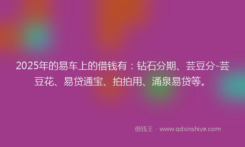 2025年的易车上的借钱有：钻石分期、芸豆分-芸豆花、易贷通宝、拍拍用、涌泉易贷等。