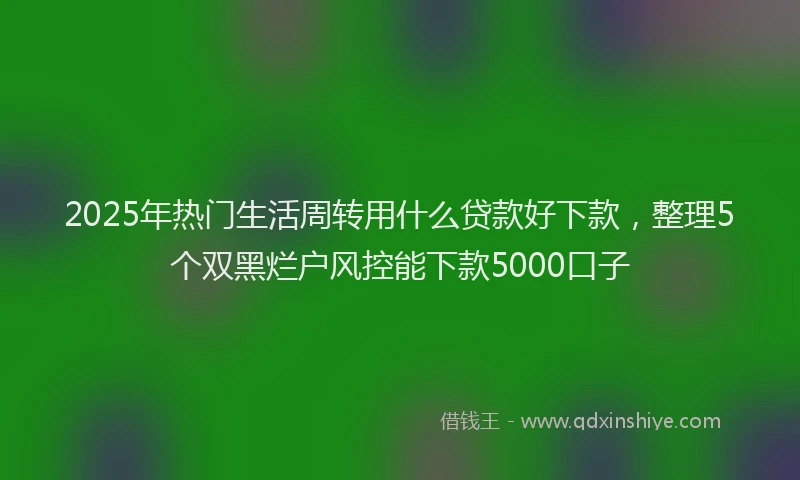 2025年热门生活周转用什么贷款好下款，整理5个双黑烂户风控能下款5000口子