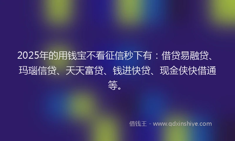 2025年的用钱宝不看征信秒下有：借贷易融贷、玛瑙信贷、天天富贷、钱进快贷、现金侠快借通等。