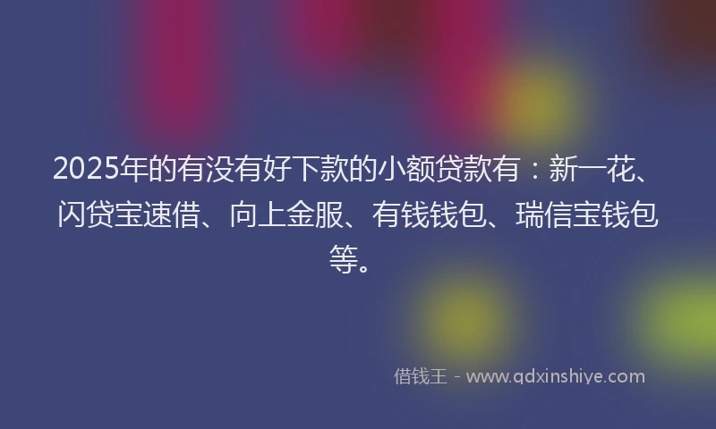 2025年的有没有好下款的小额贷款有：新一花、闪贷宝速借、向上金服、有钱钱包、瑞信宝钱包等。
