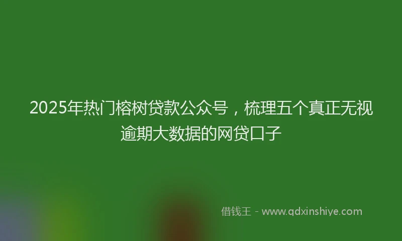 2025年热门榕树贷款公众号，梳理五个真正无视逾期大数据的网贷口子
