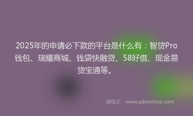 2025年的申请必下款的平台是什么有：智贷Pro钱包、瑞耀商城、钱袋快融贷、58好借、现金易贷宝通等。