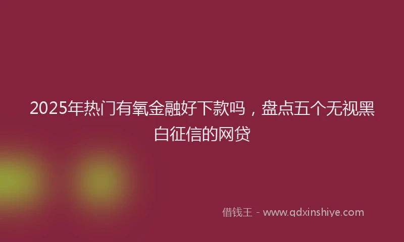 2025年热门有氧金融好下款吗，盘点五个无视黑白征信的网贷