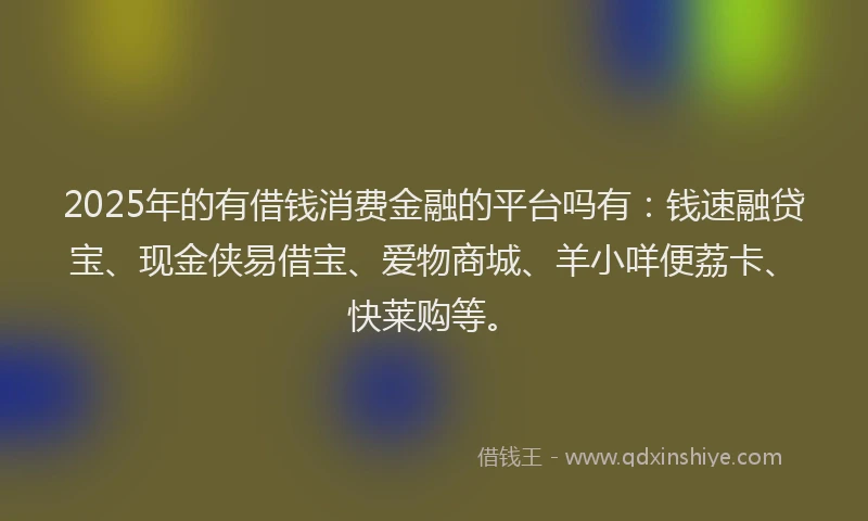 2025年的有借钱消费金融的平台吗有：钱速融贷宝、现金侠易借宝、爱物商城、羊小咩便荔卡、快莱购等。
