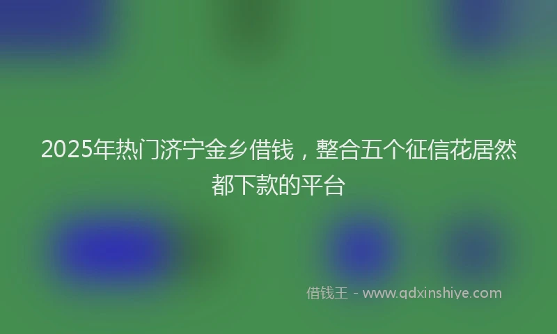 2025年热门济宁金乡借钱，整合五个征信花居然都下款的平台