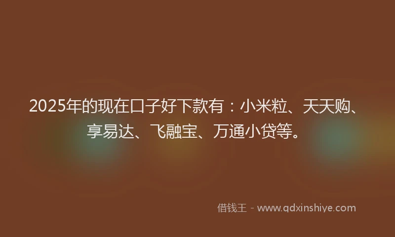 2025年的现在口子好下款有：小米粒、天天购、享易达、飞融宝、万通小贷等。