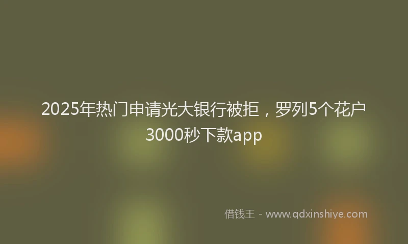 2025年热门申请光大银行被拒，罗列5个花户3000秒下款app