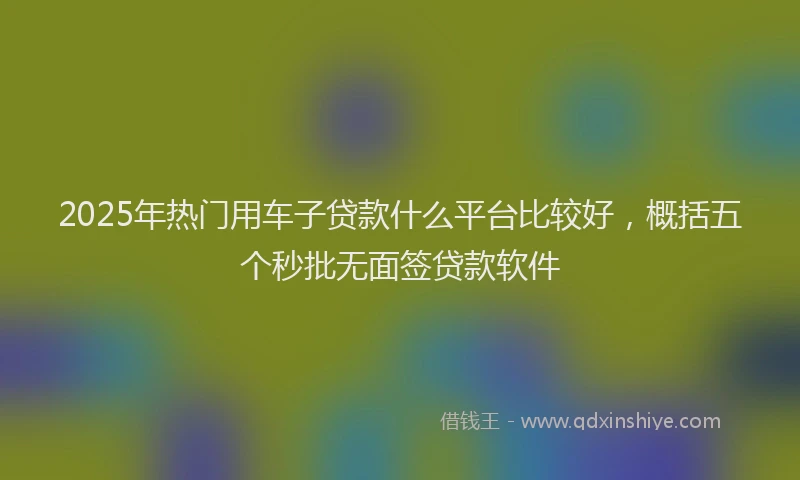2025年热门用车子贷款什么平台比较好，概括五个秒批无面签贷款软件
