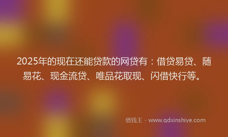 2025年的现在还能贷款的网贷有：借贷易贷、随易花、现金流贷、唯品花取现、闪借快行等。