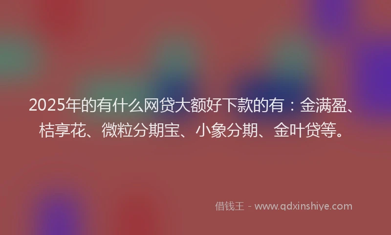 2025年的有什么网贷大额好下款的有：金满盈、桔享花、微粒分期宝、小象分期、金叶贷等。