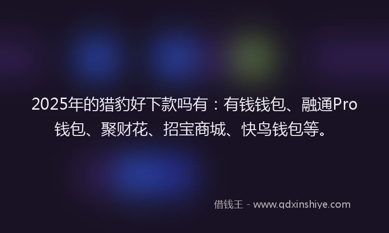 2025年的猎豹好下款吗有：有钱钱包、融通Pro钱包、聚财花、招宝商城、快鸟钱包等。