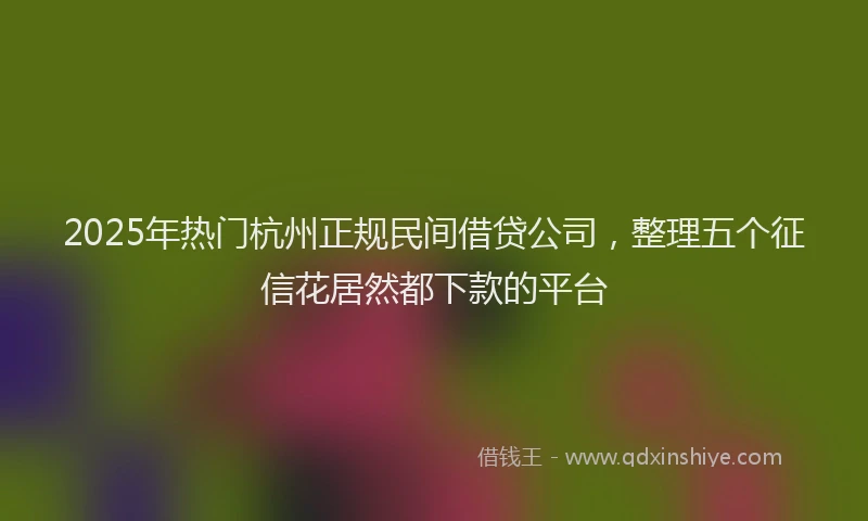 2025年热门杭州正规民间借贷公司，整理五个征信花居然都下款的平台