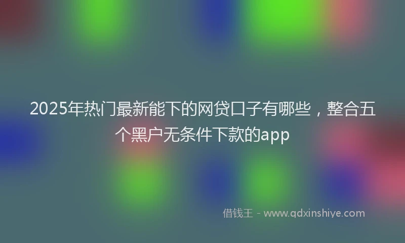 2025年热门最新能下的网贷口子有哪些，整合五个黑户无条件下款的app