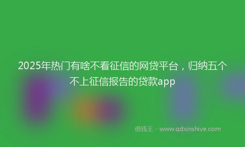 2025年热门有啥不看征信的网贷平台，归纳五个不上征信报告的贷款app