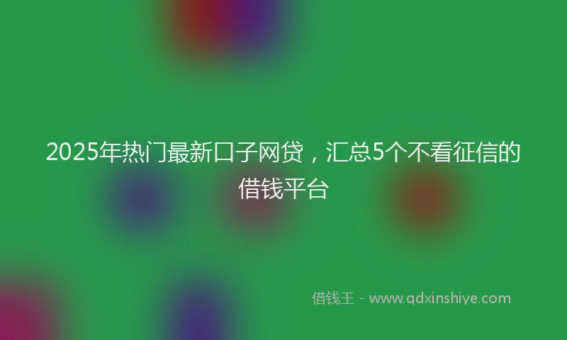 2025年热门最新口子网贷，汇总5个不看征信的借钱平台