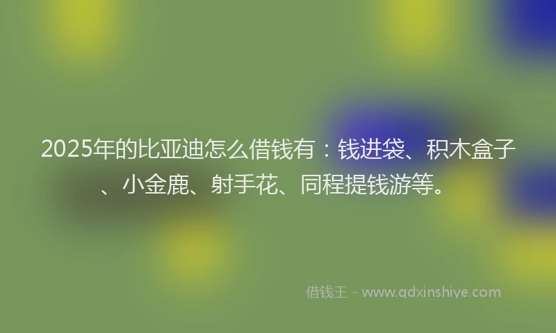 2025年的比亚迪怎么借钱有：钱进袋、积木盒子、小金鹿、射手花、同程提钱游等。