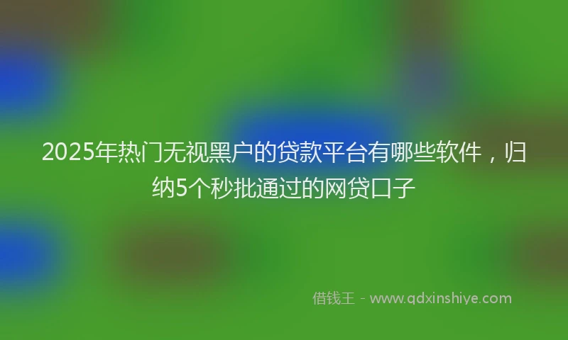 2025年热门无视黑户的贷款平台有哪些软件，归纳5个秒批通过的网贷口子