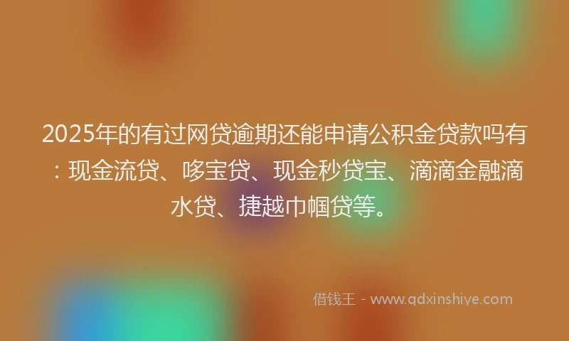 2025年的有过网贷逾期还能申请公积金贷款吗有：现金流贷、哆宝贷、现金秒贷宝、滴滴金融滴水贷、捷越巾帼贷等。